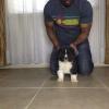 Tonya, Female - Available